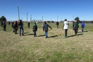 Baseball Fun 2019