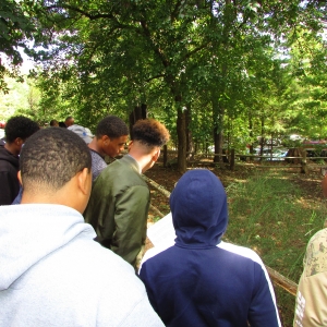 Monticello 2018