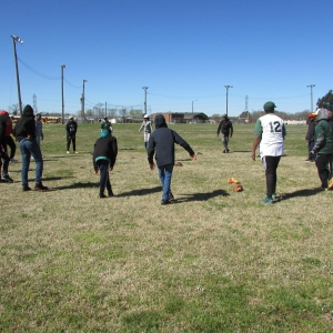 Baseball Fun 2019
