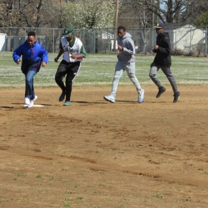 Baseball Fun 2019