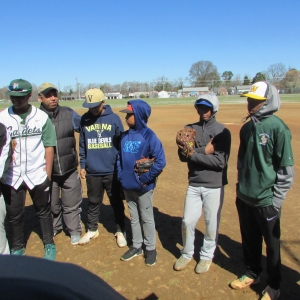 Baseball Fun 2019