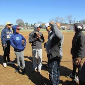 Baseball Fun 2019