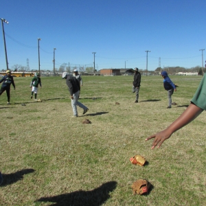 Baseball Fun 2019