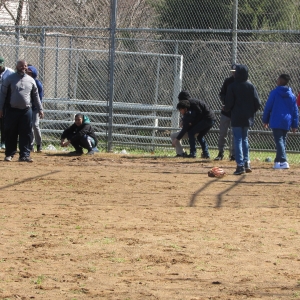 Baseball Fun 2019