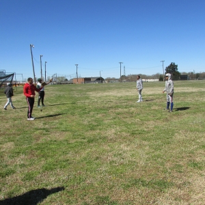 Baseball Fun 2019