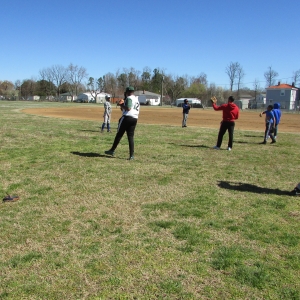 Baseball Fun 2019