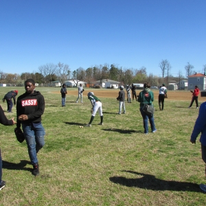 Baseball Fun 2019