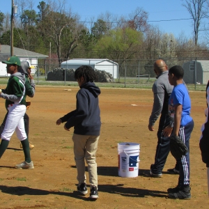 Baseball Fun 2019