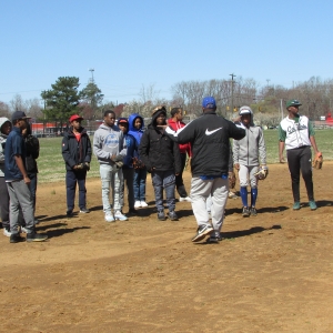 Baseball Fun 2019