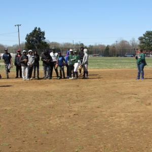 Baseball Fun 2019