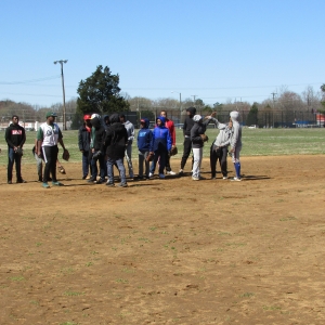 Baseball Fun 2019