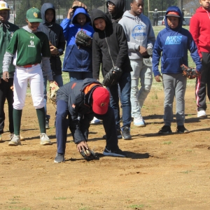 Baseball Fun 2019