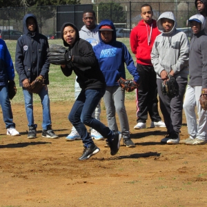 Baseball Fun 2019