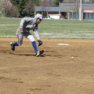Baseball Fun 2019