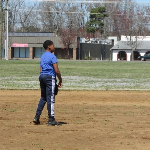 Baseball Fun 2019