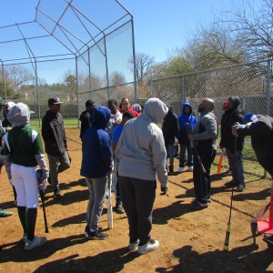 Baseball Fun 2019