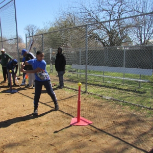 Baseball Fun 2019