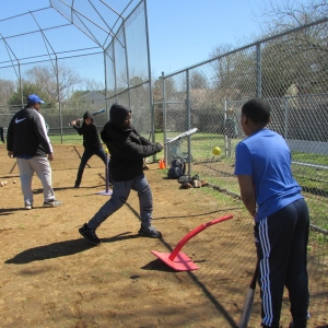 Baseball Fun 2019