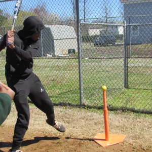 Baseball Fun 2019