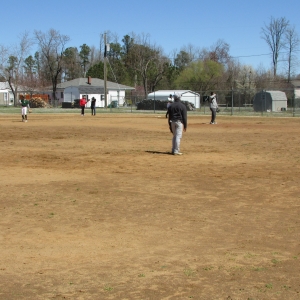 Baseball Fun 2019