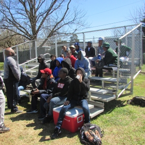 Baseball Fun 2019