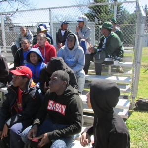 Baseball Fun 2019